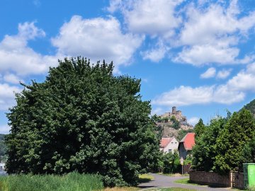 Litoměřice → Děčín photo